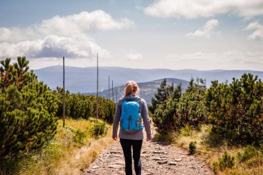 Dağda yürüyüş parkurunda tek başına yürüyen bir yürüyüşçü. Sırt çantalı bir kadın doğal park Jeseniky, Çek Cumhuriyeti 'nde yürüyüş yapıyor. Aktif spor yaşam tarzı