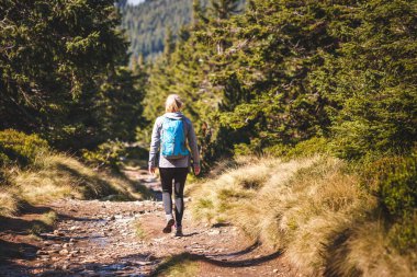 Ormanda tek başına yürüyüş yapan bir kadın yürüyüşçü. Ormanda sırt çantalı bir kadın yürüyüş yapıyor. Aktif spor yaşam tarzı