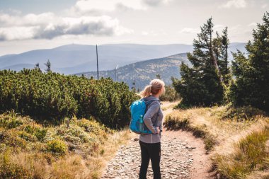 Dağda yürüyüş parkurunda tek başına yürüyen bir yürüyüşçü. Sırt çantalı bir kadın doğal park Jeseniky, Çek Cumhuriyeti 'nde yürüyüş yapıyor. Aktif spor yaşam tarzı