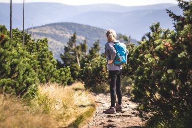 Dağdaki yürüyüş parkurunda tek başına yürüyüş yapan biri. Sırt çantalı bir kadın, Çek Cumhuriyeti 'nde Jeseniky Dağları' nda doğa yürüyüşü yapıyor. Aktif spor yaşam tarzı