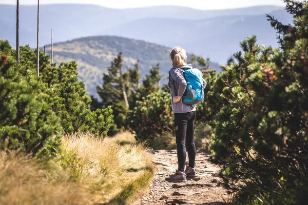 Dağdaki yürüyüş parkurunda tek başına yürüyüş yapan biri. Sırt çantalı bir kadın, Çek Cumhuriyeti 'nde Jeseniky Dağları' nda doğa yürüyüşü yapıyor. Aktif spor yaşam tarzı