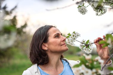 Bir kadın çiçek açan bahçede bahar gününün tadını çıkarıyor, kokulu kiraz çiçeklerini kokluyor.