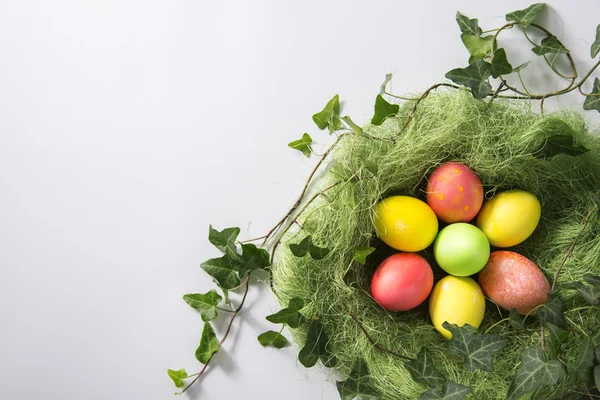 Uova pasquali in un nido — Foto Stock