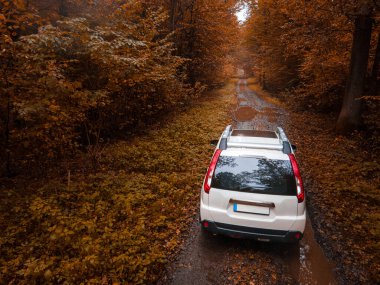 Sonbaharda ormandaki arazi aracının ıslak iz sürme alanı görüntüsü