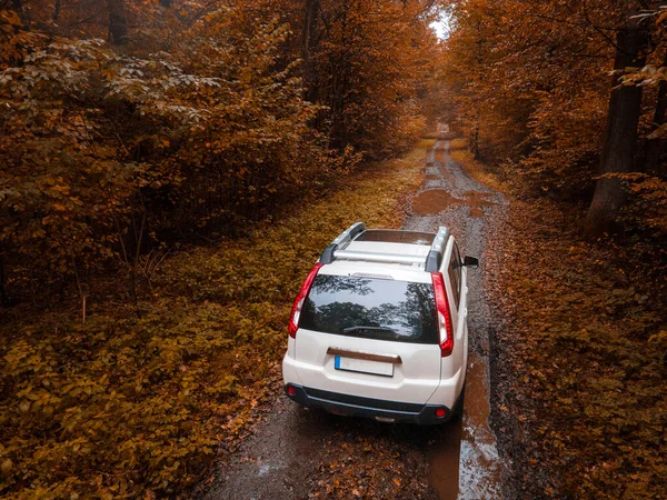 Vista Coche Suv Bosque Otoño Húmedo Espacio Copia Del Sendero — Foto de Stock