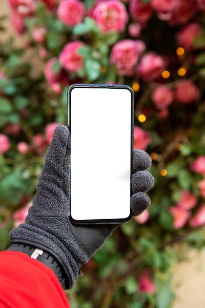 Man Hand Winter Gloves Trzymając Telefon Białym Ekranem Choinka Tle — Zdjęcie stockowe