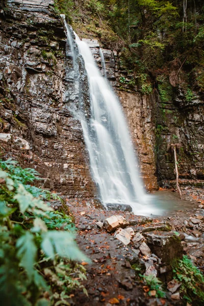 View Waterfall Forest Long Exposure — Stock Photo, Image