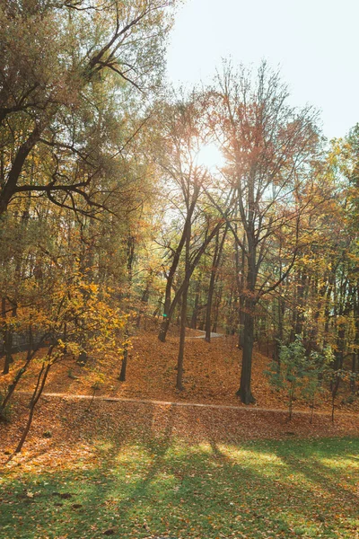 Kilátás Őszi Város Nyilvános Park Másolás Helye — Stock Fotó