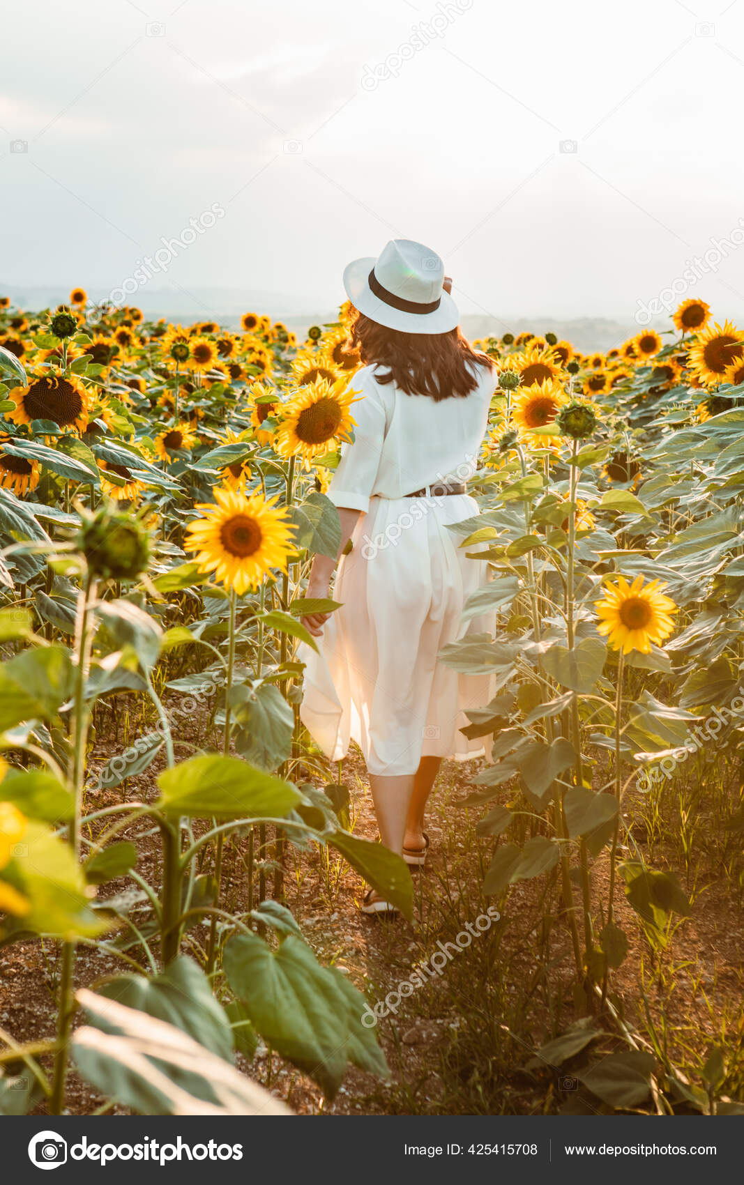 Jovem Mulher Sundress Andando Pelo Campo Girass is Vista P r Sol