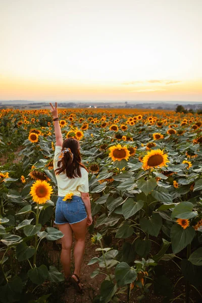 young woman in sundress walking by sunflowers field on sunset view from behind
