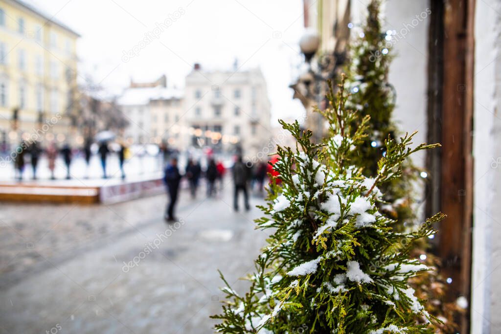 fir tree close up covered by snow at city street christmas time