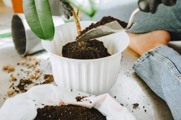 Frau Verpflanzt Blumen Größeren Töpfen Hause Kopierraum — Stockfoto