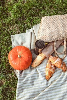 Nehir kıyısında piknik. Sonbahar güneşli gün. Kopyalama alanı.