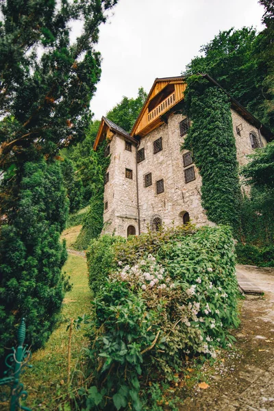 Old Stone Building Covered Climbing Ivy Copy Space — Stock Photo, Image