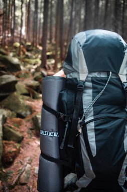 Dağlardaki genç yürüyüşçü. Yaz yürüyüşü yolu. Boşluğu kopyala.