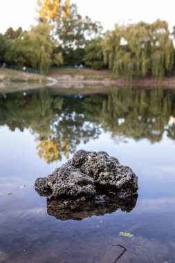 Şehir parkında göl fotokopi alanı olan gün batımı manzarası