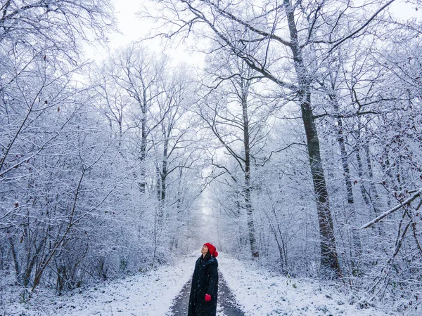 Молода жінка в червоному капелюсі в зимовому лісі — стокове фото
