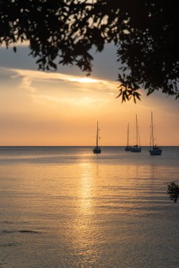 Deniz koyunda günbatımı ve arka planda yatlar. Boşluğu kopyala