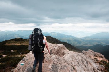 Dağlardaki genç yürüyüşçü. Yaz yürüyüşü yolu. Boşluğu kopyala.