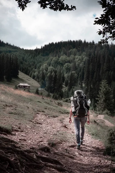 Giovane Escursionista Montagna Percorso Estivo Trekking Copia Spazio — Foto Stock
