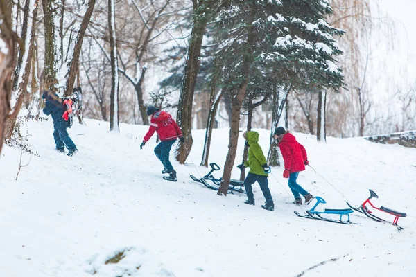 Lviv Ukraine January 2019 Kids Boys Friends Pulling Sledge Snowed — Stock Photo, Image