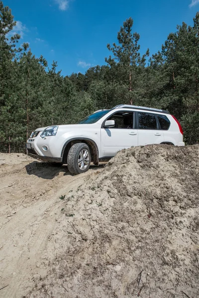 Suv Auto Strada Sabbiosa Nella Foresta Copiare Spazio Giornata Estiva — Foto Stock