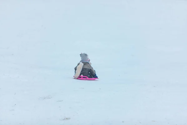 Маленький Ребенок Санях Скользит Вниз Зимнему Снежному Холму — стоковое фото