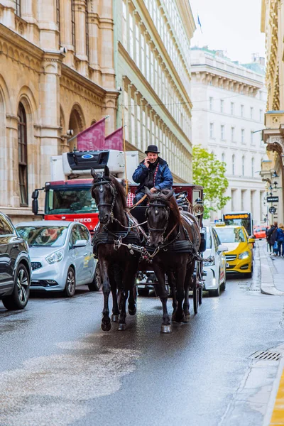 Βιέννη Αυστρία Μαΐου 2019 Άλογο Έλξης Πούλμαν Ευρωπαϊκό Δρόμο Της — Φωτογραφία Αρχείου
