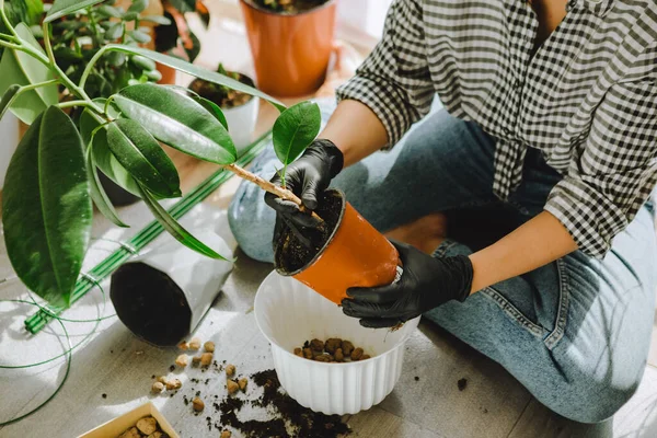 Frau Verpflanzt Blumen Größeren Töpfen Hause Kopierraum — Stockfoto