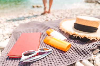 Rocky Beach 'teki battaniyede deniz ürünleri fotokopi alanı