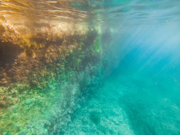 Bajo Agua Vista Fondo Del Mar Copia Espacio —  Fotos de Stock