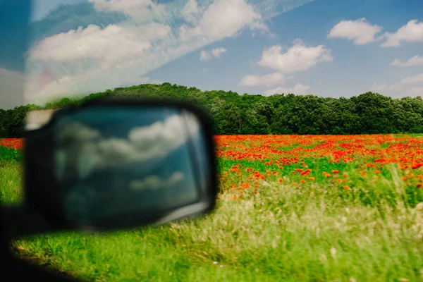 View Poppy Flowers Field Car Copy Space — Stock Photo, Image
