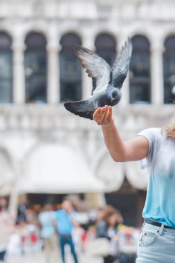 Venedik City Meydanı San Marco 'da güvercinlerle eğlenen bir kadın.