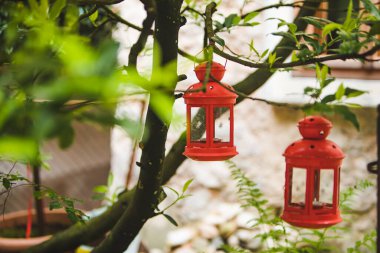 Ağaç dalında mum lambası kopyalama alanı