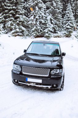 Karlı ormanda arazi aracı kopyalama alanı