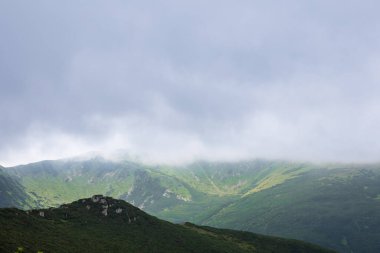 Yaz dağlarının manzarası. Güzel manzara. Boşluğu kopyala