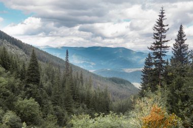 Yaz dağlarının manzarası. Güzel manzara. Boşluğu kopyala