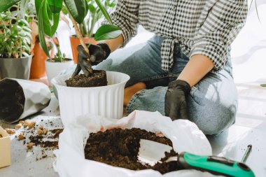 Evde daha büyük saksılara çiçek nakleden bir kadın. Boşluğu kopyala