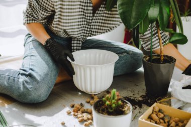 Evde daha büyük saksılara çiçek nakleden bir kadın. Boşluğu kopyala
