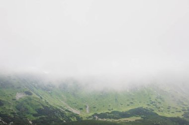 Yaz dağlarının manzarası. Güzel manzara. Boşluğu kopyala