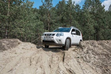 Ormandaki Sandy Yolu 'nda arazi aracı. kopyalama alanı. Güneşli yaz günü