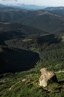 Yaz dağlarının manzarası. Güzel manzara. Boşluğu kopyala