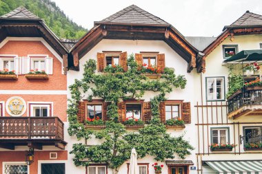 Hallstatt, Avusturya - 15 Haziran 2019: Merkezi Turizm Şehri Yaz Saati
