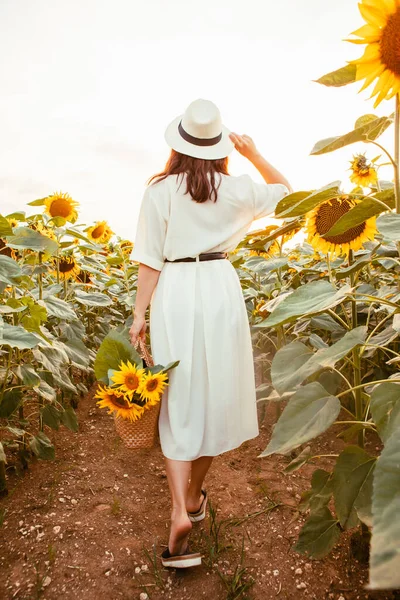 young woman in sundress walking by sunflowers field on sunset view from behind