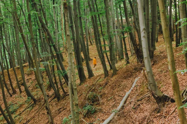 Homem Capa Chuva Amarela Caminhando Pela Floresta Espaço Cópia — Fotografia de Stock