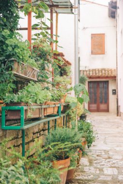 Çiçekli bahçe dekorasyonu manzarası. Boşluğu kopyala