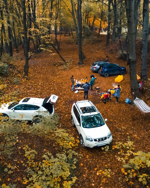 Lviv Ucrania Octubre 2020 Amigos Reunidos Bosque Para Barbacoa Otoño — Foto de Stock