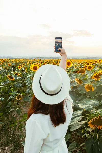 Elegante Mulher Elegância Tirar Foto Campo Girassóis Seu Telefone Pôr — Fotografia de Stock