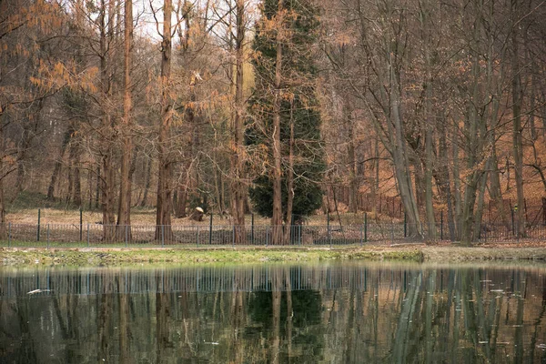 Вид на озеро громадського парку з лісом на фоні — стокове фото