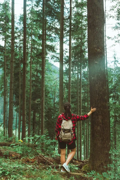 Femeie Backpacker Bucură Vedere Pădure Munți Copia Spațiu — Fotografie, imagine de stoc